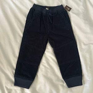 Tea Collection blue corduroy lined toddler pants NWT size 3t